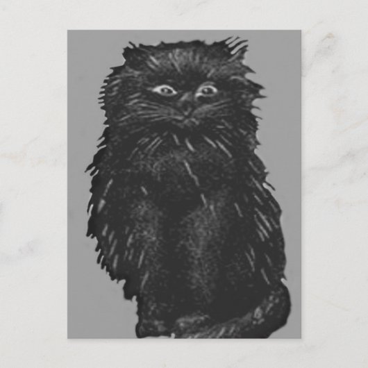 Monochrome Zwarte Kat Briefkaart (Voorkant)