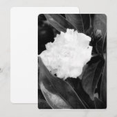Monochroom bloei kaart (Voorkant / Achterkant)
