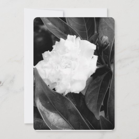 Monochroom bloei kaart (Voorkant)