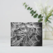Monochroom Dandelion Seed Macro Briefkaart (Staand voorkant)