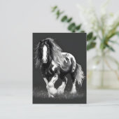 Monochroom Gypsy Cob Paard Briefkaart (Staand voorkant)