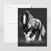 Monochroom Gypsy Cob Paard Briefkaart (Voorkant / Achterkant)