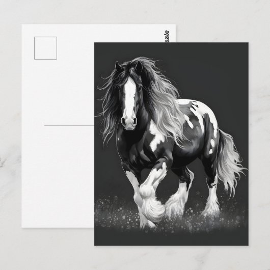 Monochroom Gypsy Cob Paard Briefkaart (Voorkant / Achterkant)