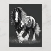 Monochroom Gypsy Cob Paard Briefkaart (Voorkant)