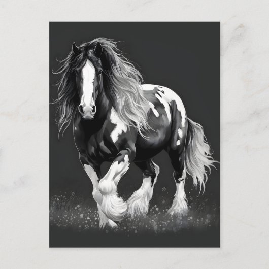Monochroom Gypsy Cob Paard Briefkaart (Voorkant)