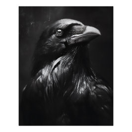 Monochroom Ravenportret Foto Afdruk
