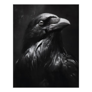 Monochroom Ravenportret Foto Afdruk