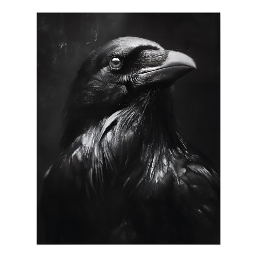 Monochroom Ravenportret Foto Afdruk (Voorkant)