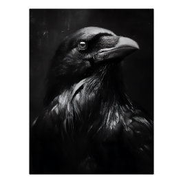 Monochroom Ravenportret Perfect Poster