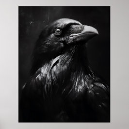 Monochroom Ravenportret Poster