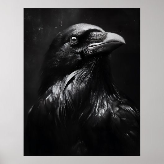 Monochroom Ravenportret Poster (Voorkant)