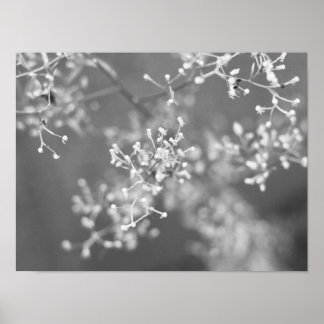 Monochroom weiland poster