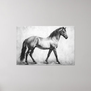 Monochroom Zwart Wit Paarden   Grote kunst aan de  Canvas Afdruk