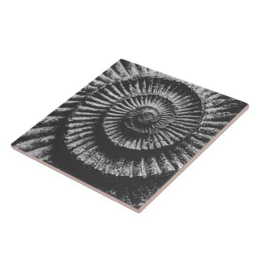 Monochroomammonietzwart, groot tegeltje (Zijkant)