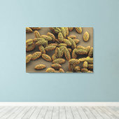 Monocot pollen van een Iris Canvas Afdruk (Insitu (Houten vloer))