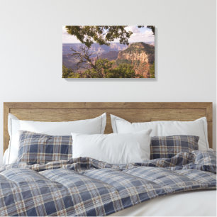 Monoesseizoen aan de noordrand van de Grand Canyon Canvas Afdruk