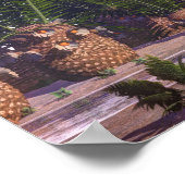 Monofosaurus dinosaur - 3D rendering Poster (Hoek)