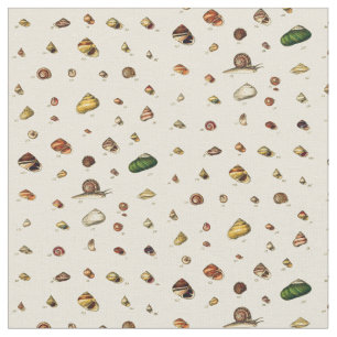 Monografen van de Genera of Shells Stof