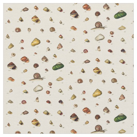Monografen van de Genera of Shells Stof (Close Up)