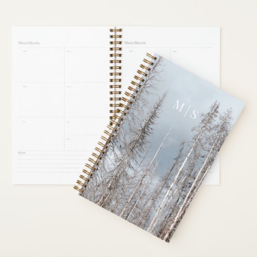 Monografische witte winterbomen op stoffige blauwe planner (Display)