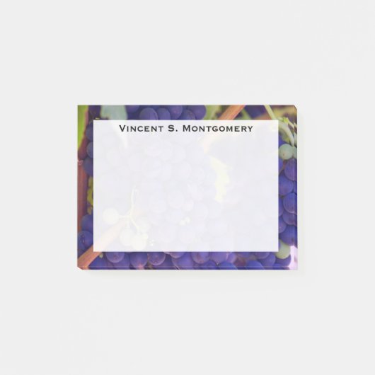 Monogram Blauw Paarse Druivenranken Post-it® Notes (Voorkant)