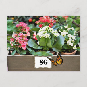 Monogram bloembakken tuin ansichtkaart briefkaart