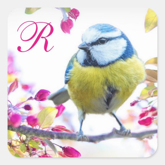 Monogram bloesem voor vogel en roze bloesems vierkante sticker (Voorkant)