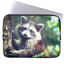 Monogram en Wilde Raccoon op het Oerwoud