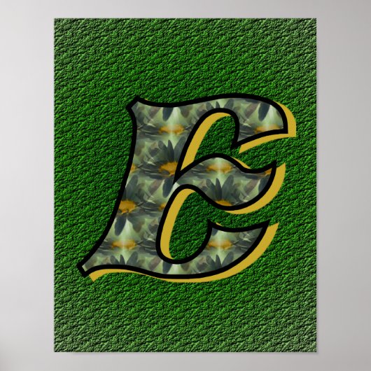 Monogram Initiaal E Madeliefjes Bloemkunst Poster (Voorkant)