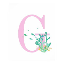 Monogram Letter G Roze Teal Koraal Vis Poster