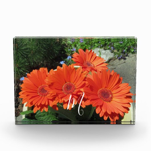 Monogram Oranje Floral Foto (Voorkant)