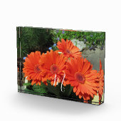Monogram Oranje Floral Foto (Rechts)