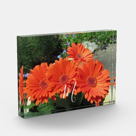 Monogram Oranje Floral Foto (Links)