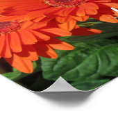 Monogram Oranje Floral Foto Poster (Hoek)
