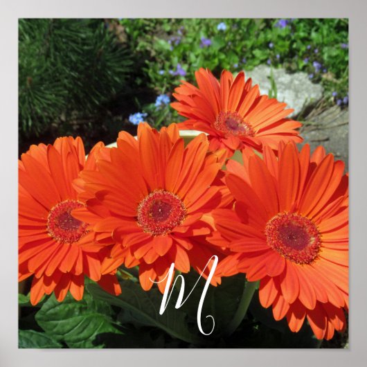 Monogram Oranje Floral Foto Poster (Voorkant)
