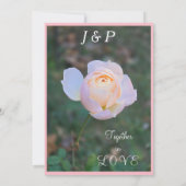 Monogram Pastel Roze Roos Liefde  Kaart (Achterkant)