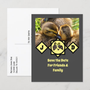 Monogram schattige Twin Ducklings Uitnodiging Briefkaart
