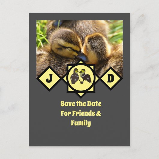 Monogram schattige Twin Ducklings Uitnodiging Briefkaart (Voorkant)