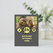 Monogram schattige Twin Ducklings Uitnodiging Briefkaart (Staand voorkant)