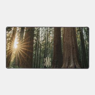 Monogram Sequoia Trees Giants Natuur Forest Bureaumat