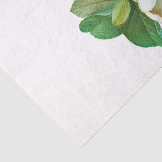 Monogram  wit en roze Magnolia Flowers Tissuepapier (Detail)