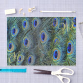 Monogrammable Peacock Feather Tissuepapier (Craft)