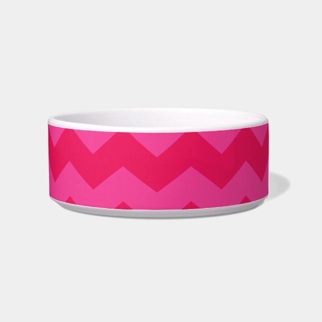 Monogrammed roze chevrons turquoise cirkel voerbakje (Rechts)