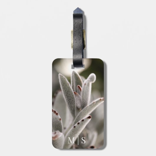 Monogrammed salie groen succulent met bruine tips bagagelabel (Achterkant verticaal)