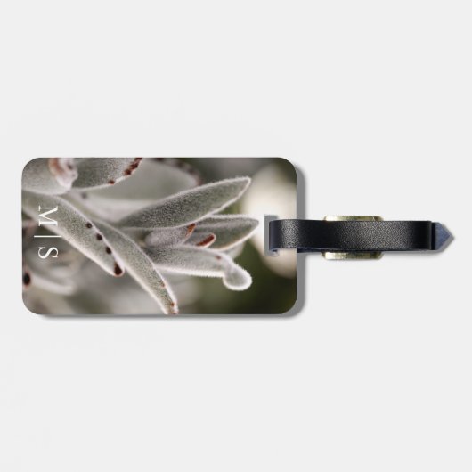 Monogrammed salie groen succulent met bruine tips bagagelabel (Achterkant horizontaal)