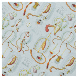 Monographie der Medusen (1879) Ernst Haeckel Stof