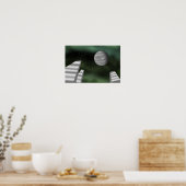 Monolieten en reuzenplaneten. poster (Keuken)