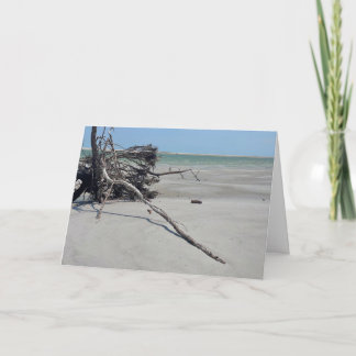 Monomoy National Wildlife Refuge in Cape Cod Kaart