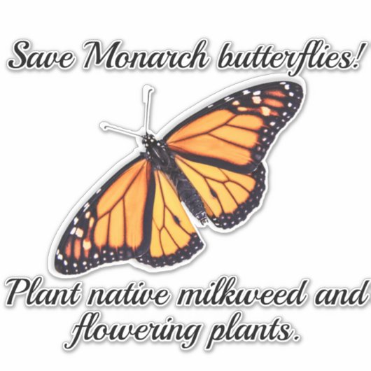 Monovlinder vlinder sticker (Voorkant)