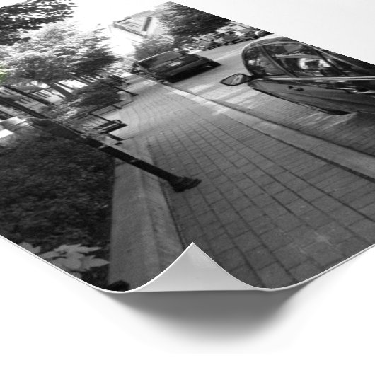 Monroe Street Poster (Hoek)